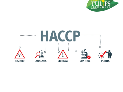 HACCP Food Safety System