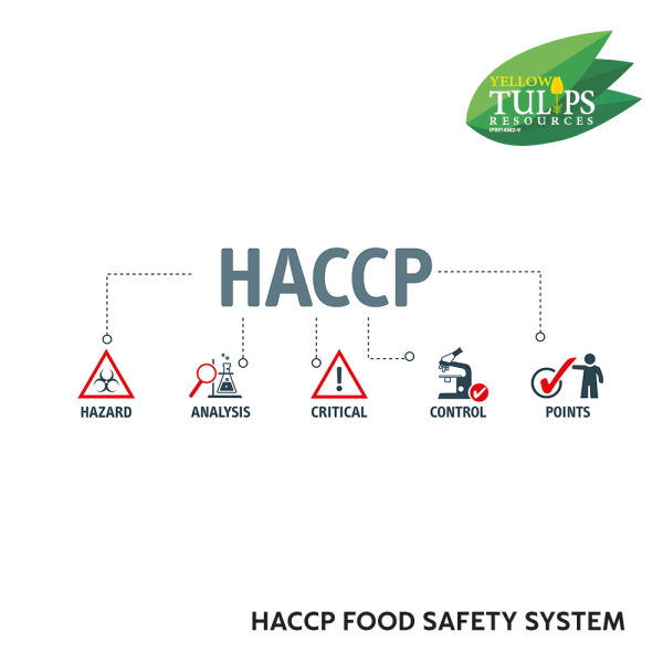 HACCP Food Safety System Yellow Tulips Resources