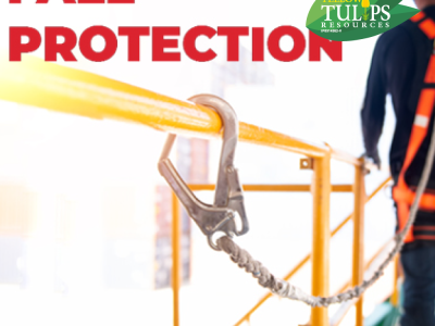 Fall Protection Safety