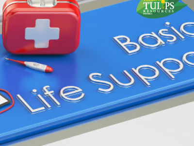 Basic Life Support