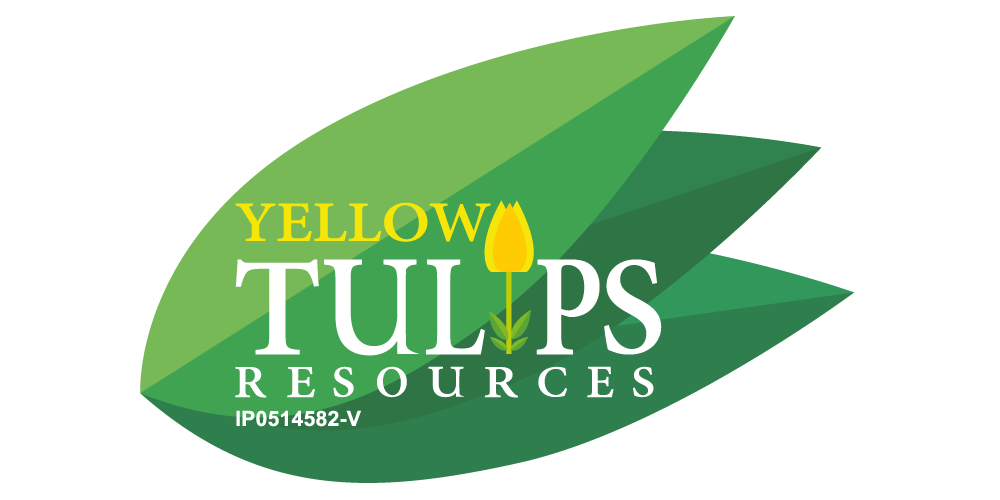 Yellow Tulips Resources