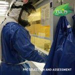 PPE Selection & Assessment